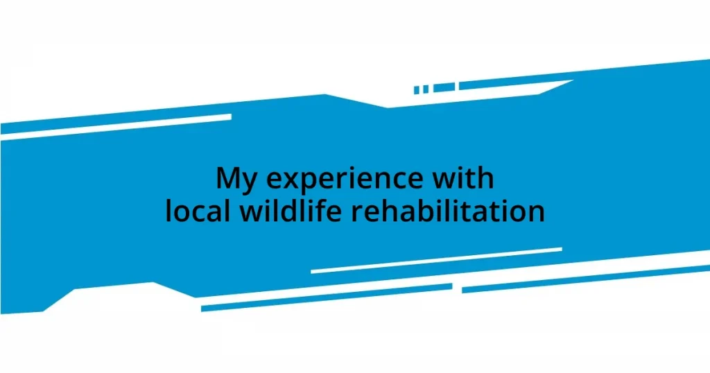 My experience with local wildlife rehabilitation