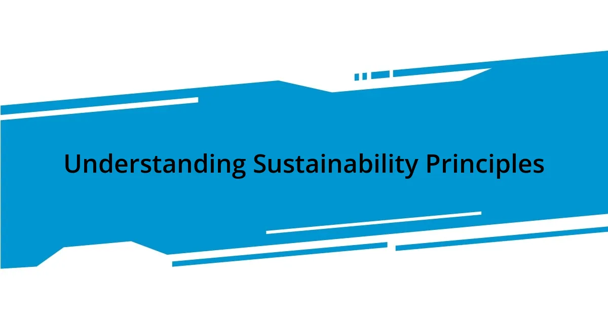 Understanding Sustainability Principles